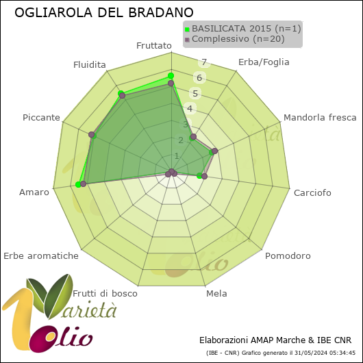 Profilo sensoriale medio della cultivar  BASILICATA 2015